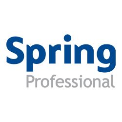 Spring Professional IT