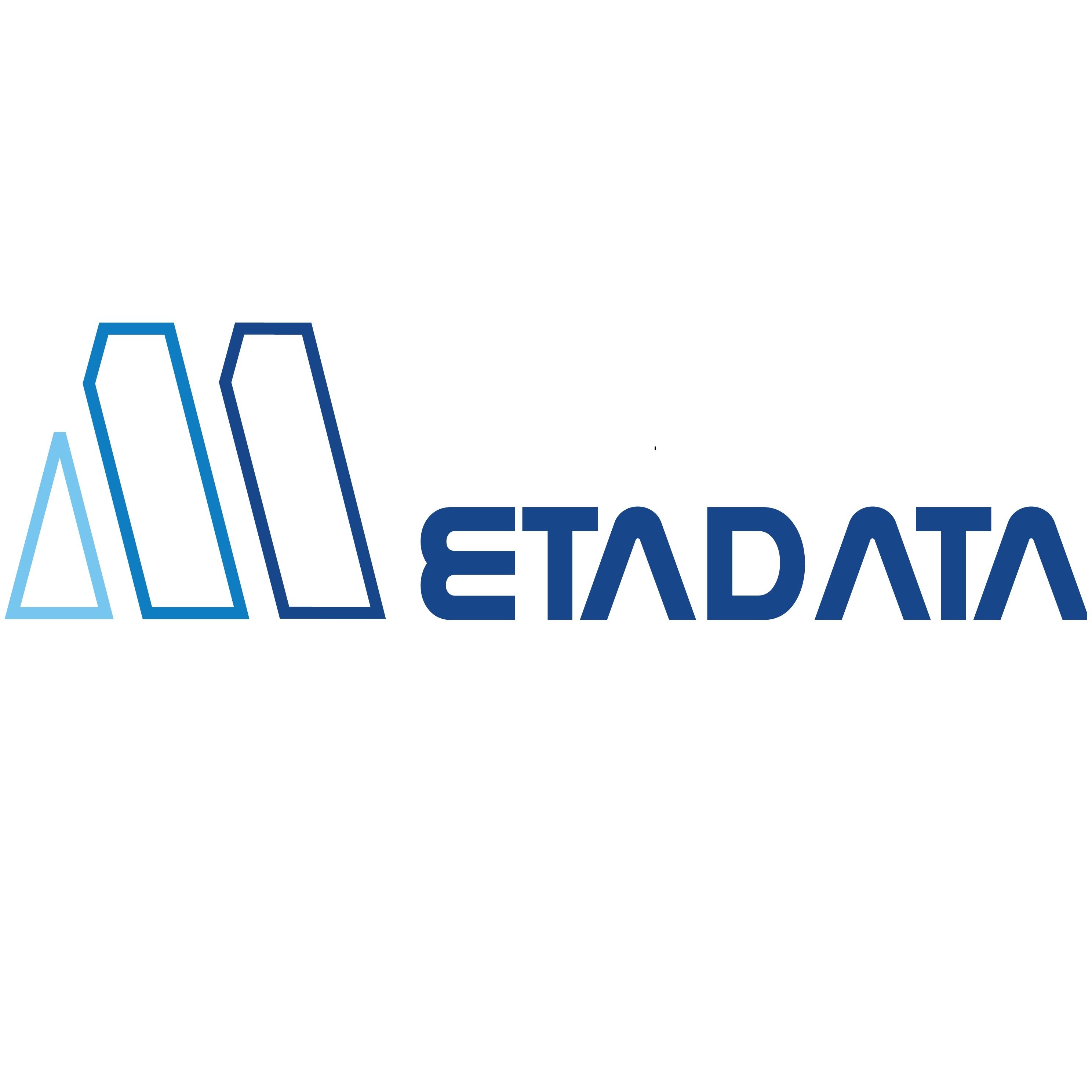Metadata logo