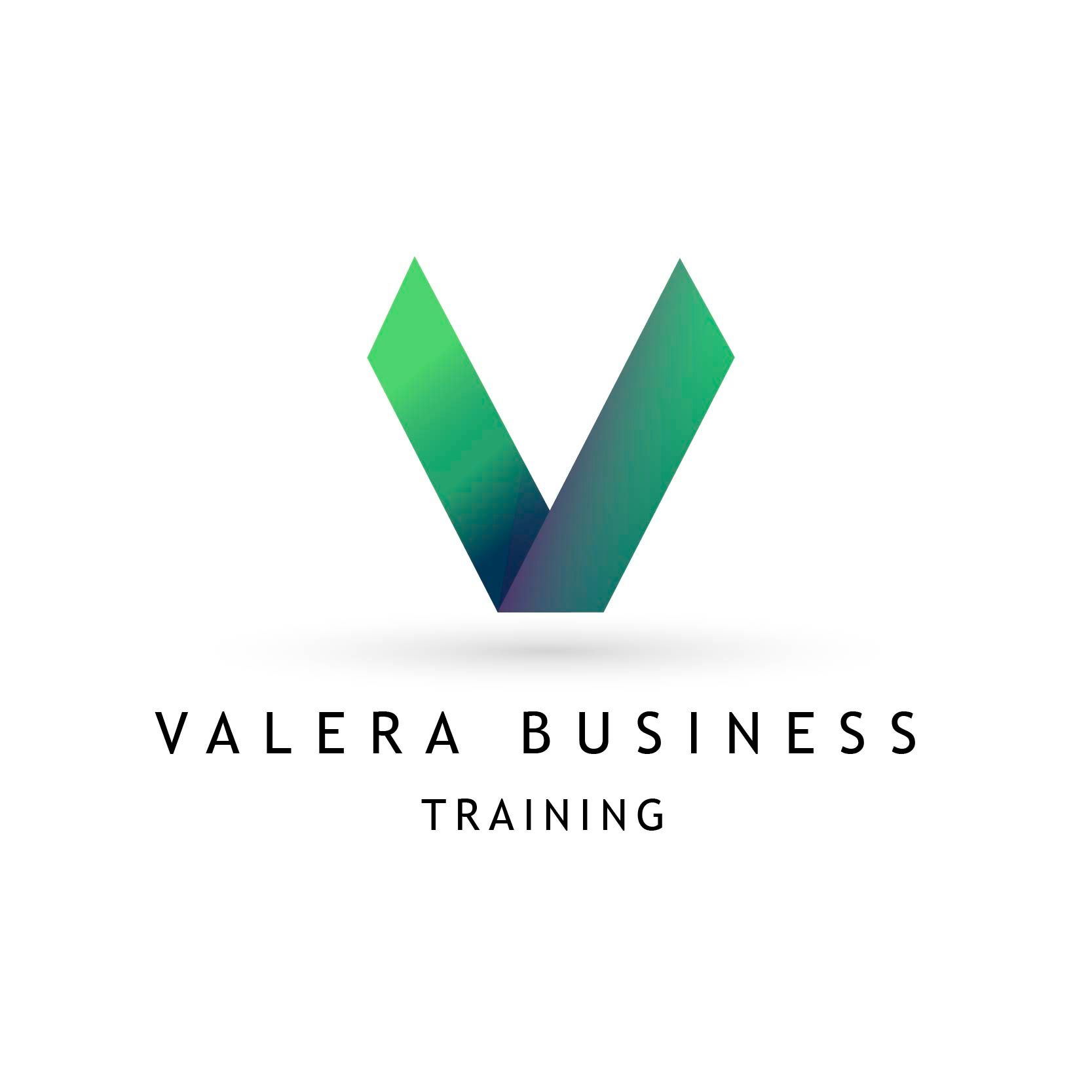 VALERA BUSINESS TRAINING logo
