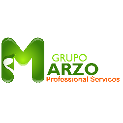 GRUPO MARZO PROFESSIONAL SERVICES logo