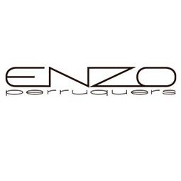 Enzo logo