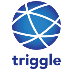 Triggle logo