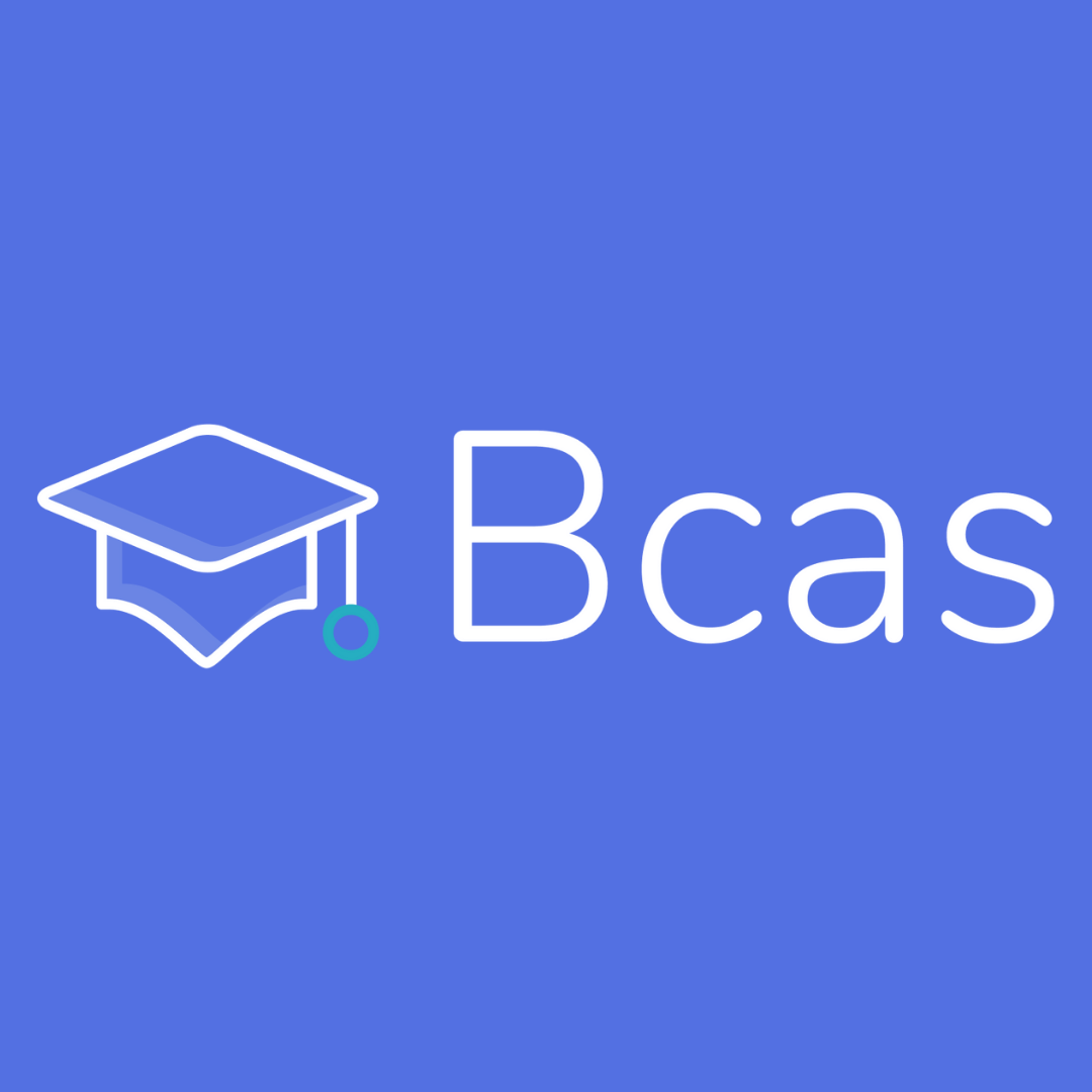 BCASFINTECH SL. logo