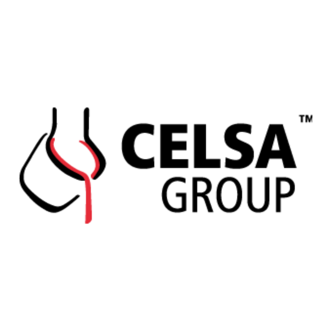 CELSA GROUP logo