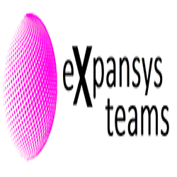 Expansys Teams Management s.l