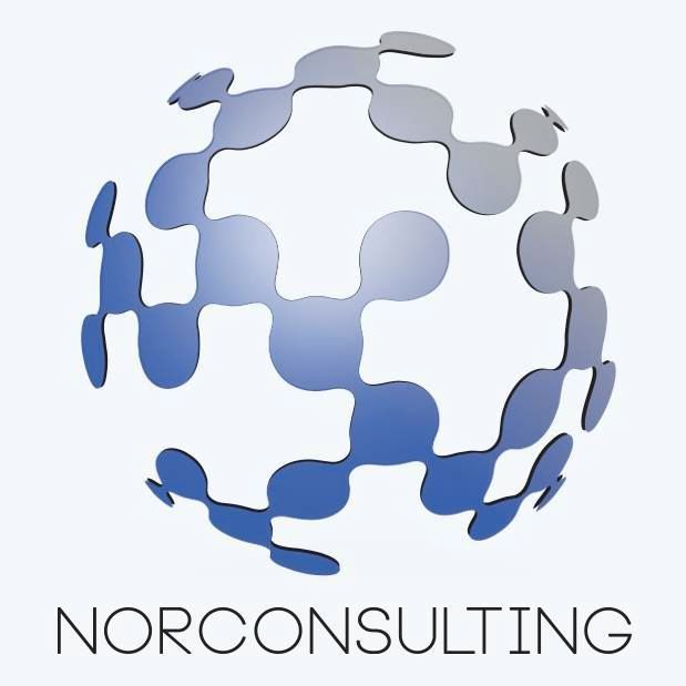 NORCONSULTING Global Recruitment logo